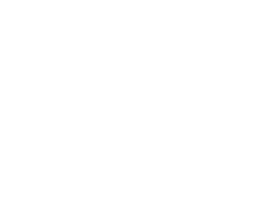 heart icon - white